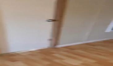 You didn't come home at the best time because your mom is busy...